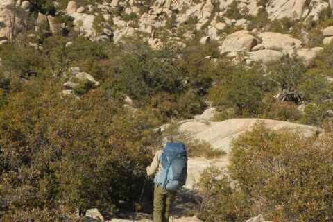 Pusch Ridge Wilderness, slick soil "Wilderness of Rocks", 2024 December