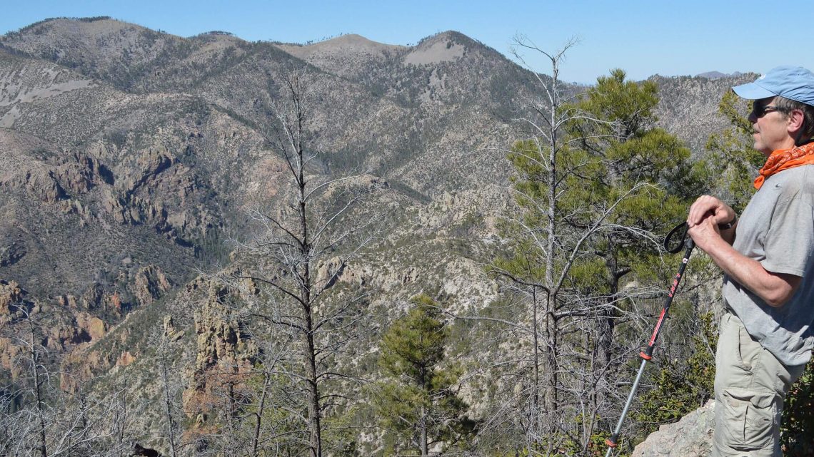 Chiricahua Wilderness, Sage Peak, April