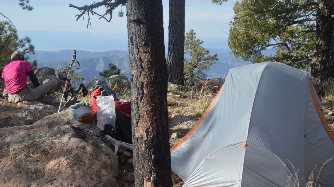 Chiricahua Wilderness, camped near Monte Vista Lookout, April