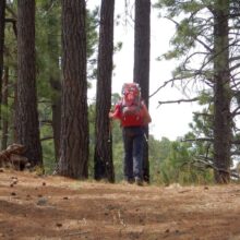 Chiricahua Wilderness, Cindy missed a switchback & passed by David, 2018 April