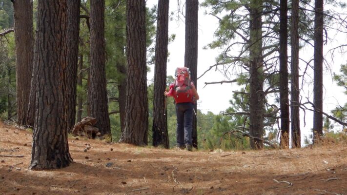 Chiricahua Wilderness, Cindy missed a switchback & passed by David, 2018 April