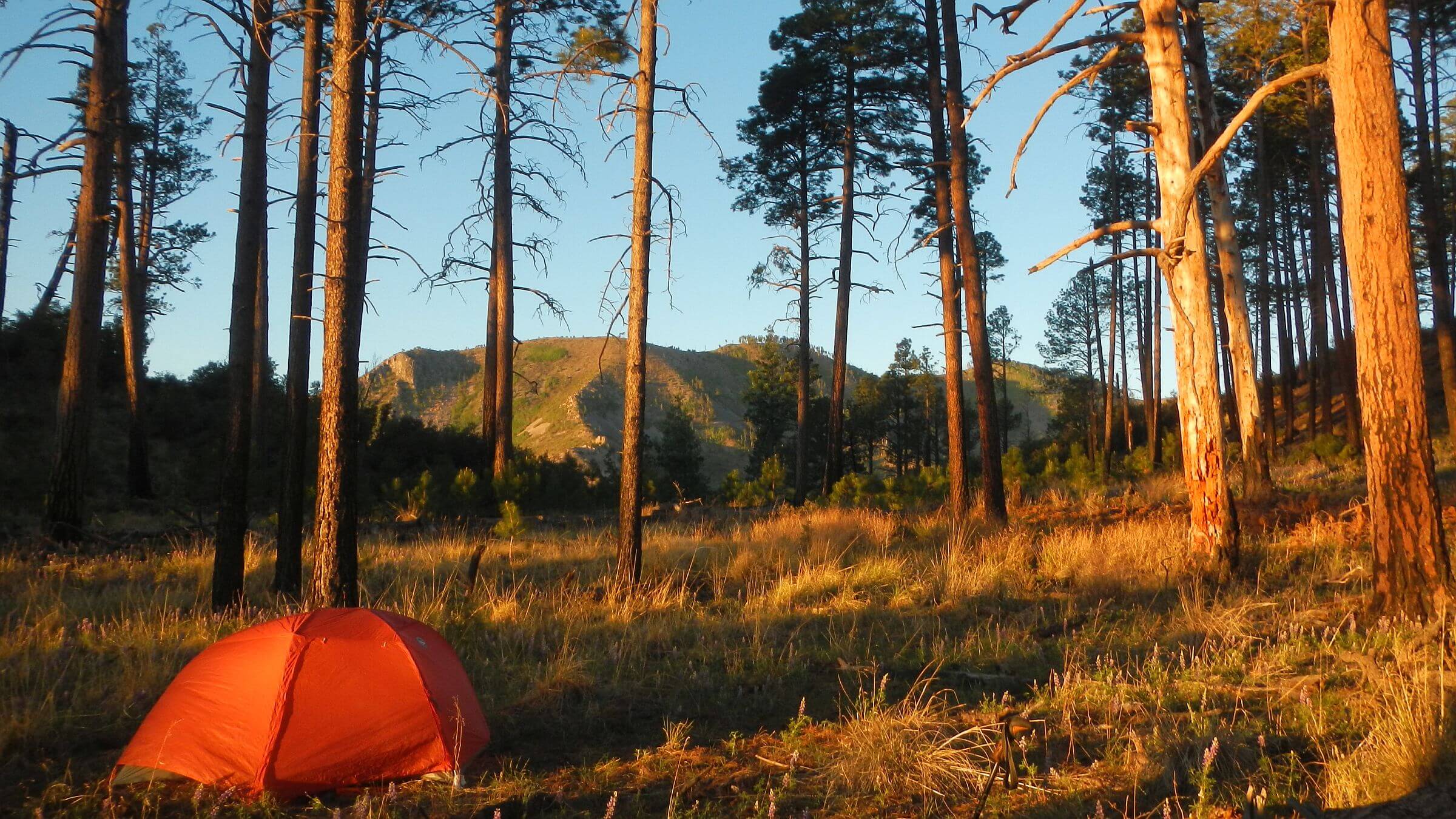 Chiricahua Wilderness, Pine Park sunrise, May, 2024