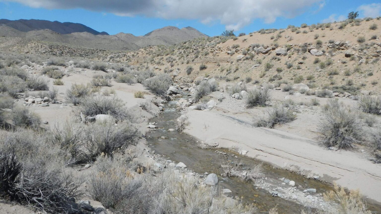 Death Valley Wilderness, upper Cottonwood Creek, March, 2024