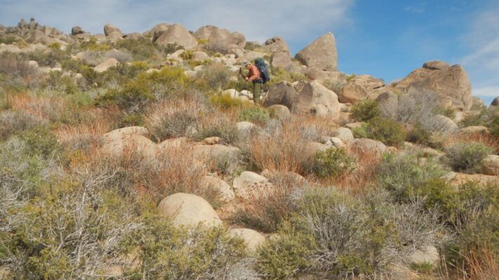 Death Valley Wilderness, Cindy returned to David's yelling after GPS watch rerouted, 2024 March