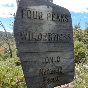 Four Peaks Wilderness, backpacking, forest service sign, April