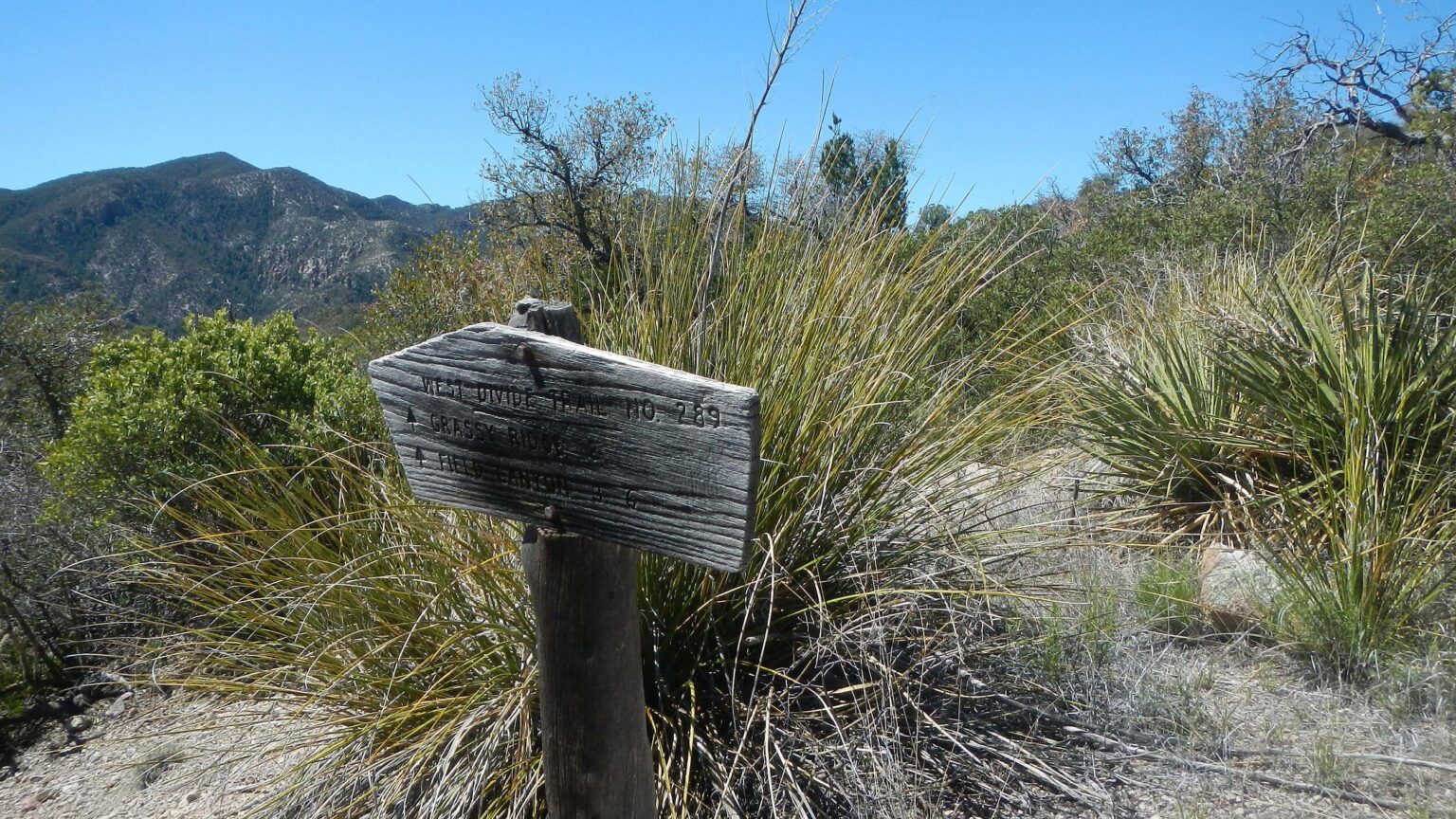 Galiuro Wilderness, West Divide Trail sign, April 2024