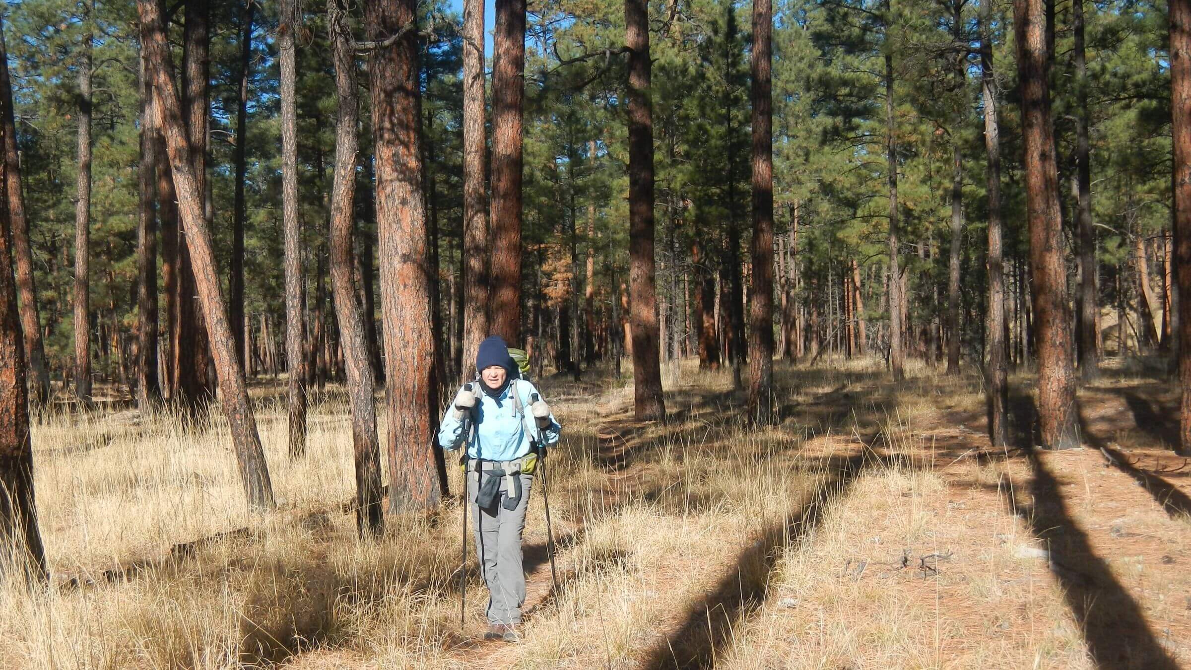 Gila Wilderness, backpacking, old-growth ponderosa, November