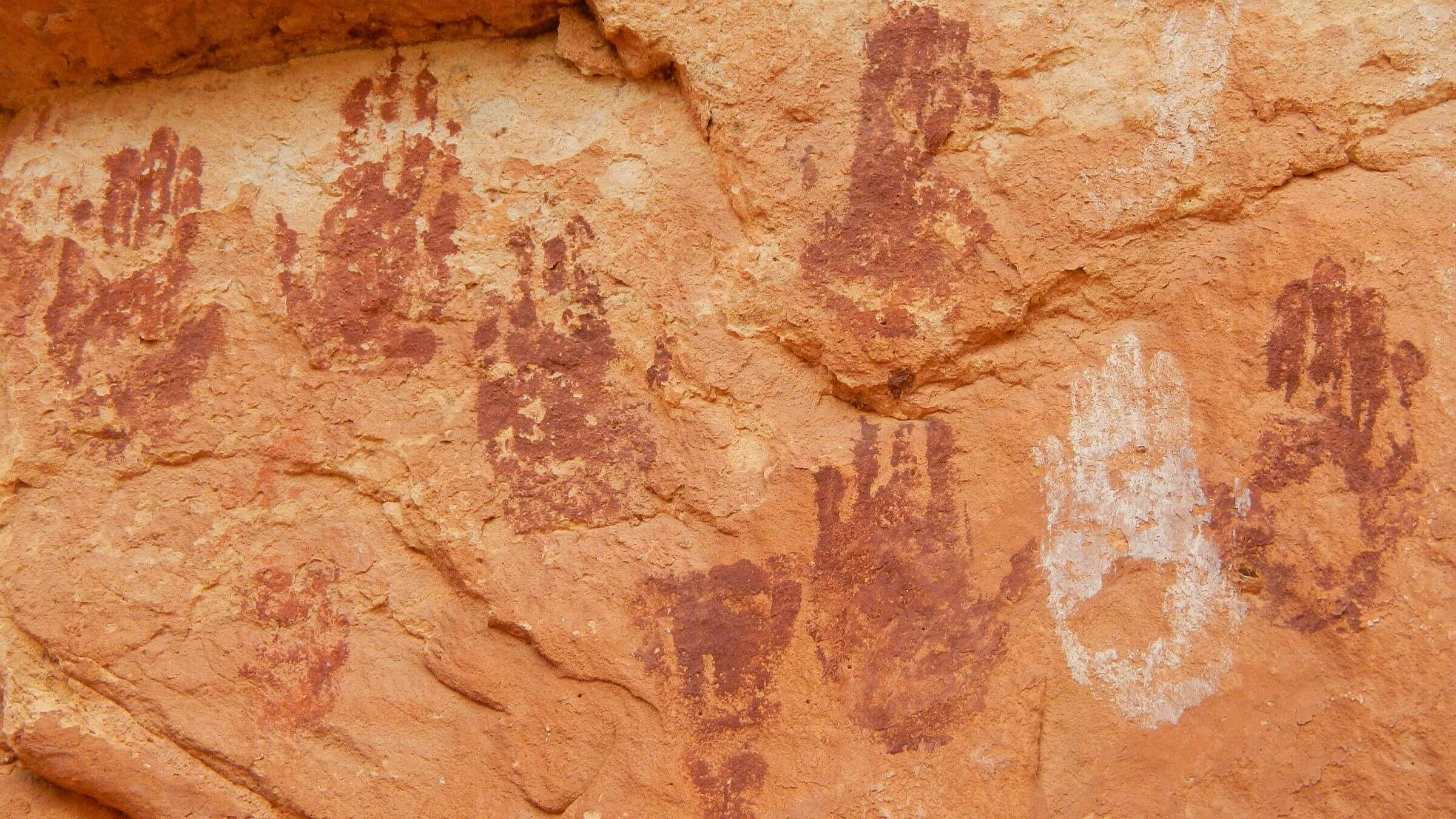 Grand Gulch Wilderness Study Area, red & white hands pictograph, May