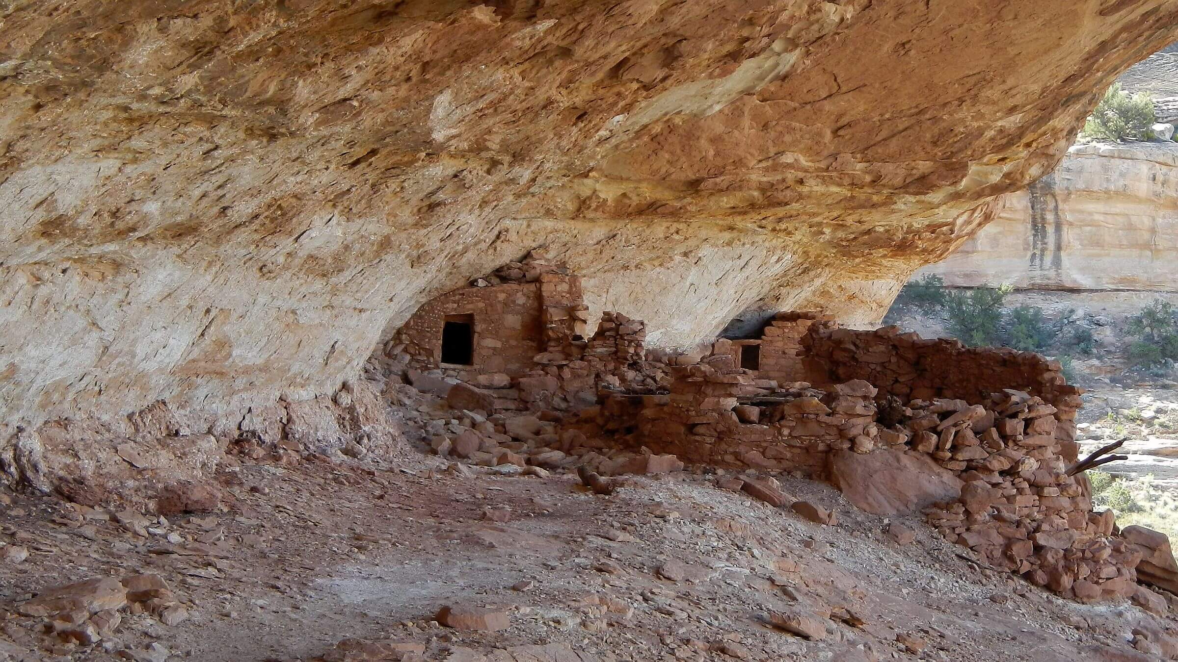 Grand Gulch Wilderness Study Area, west-facing cliff dwellings, May