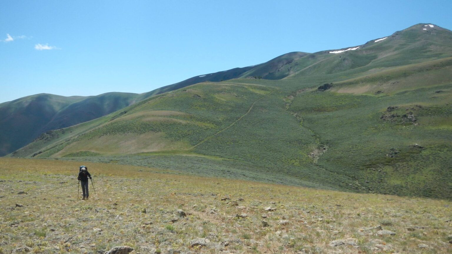 Pioneer Mountains, Blizzard Mountain, June