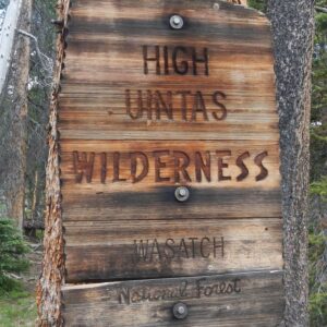 High Uintas Wilderness, National Forest sign, July