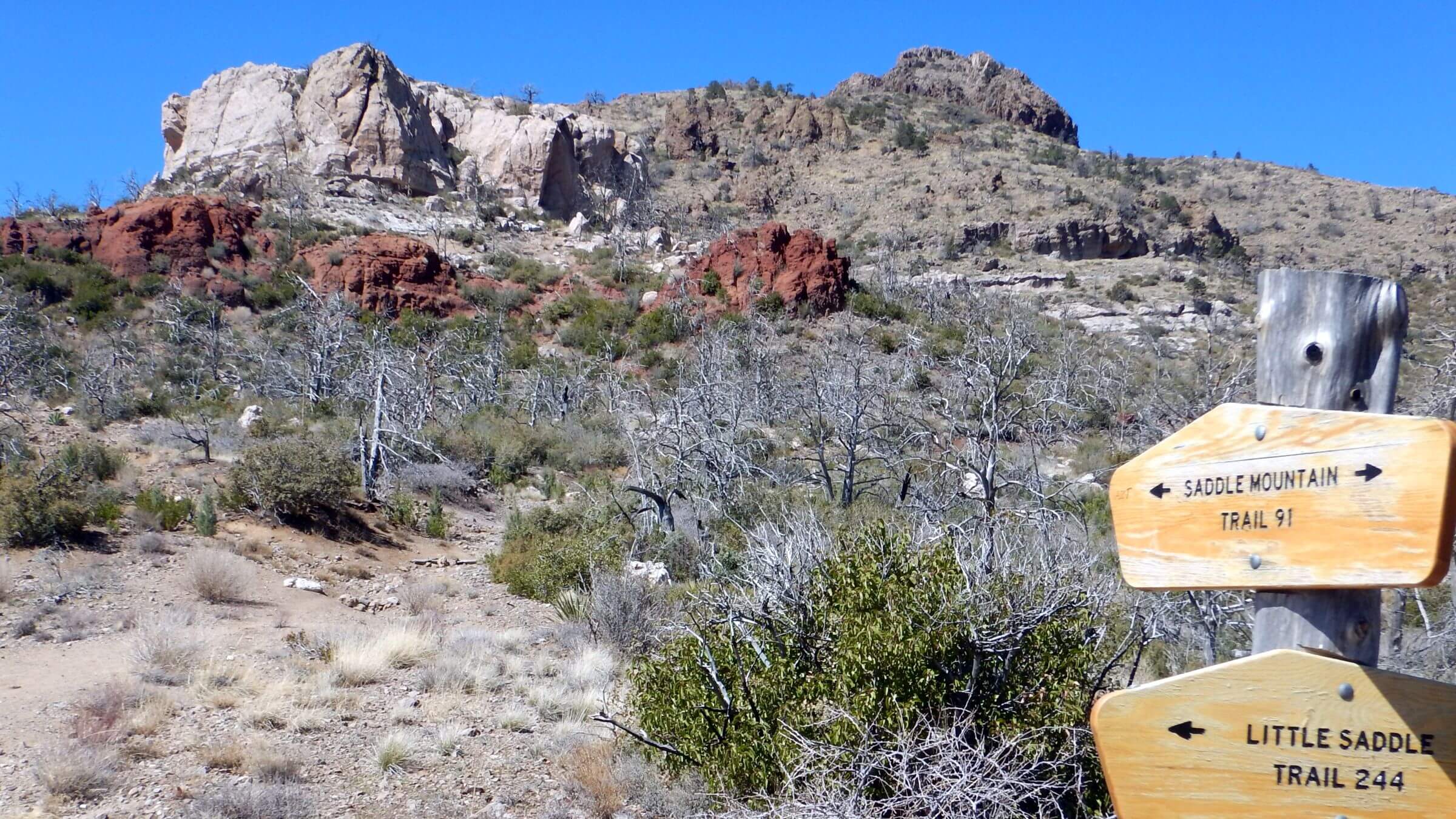 Mazatzal Wilderness, backpacking well marked Arizona Trail, March