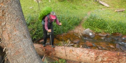 Eagles Nest Wilderness, log crossing, 2024 August