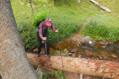 Eagles Nest Wilderness, log crossing, 2024 August