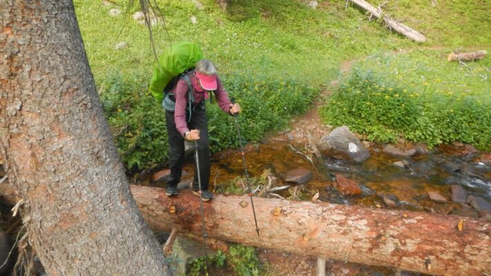 Eagles Nest Wilderness, log crossing, 2024 August