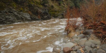 Sisquoc River still muddy and high 13 hrs after flood surge.