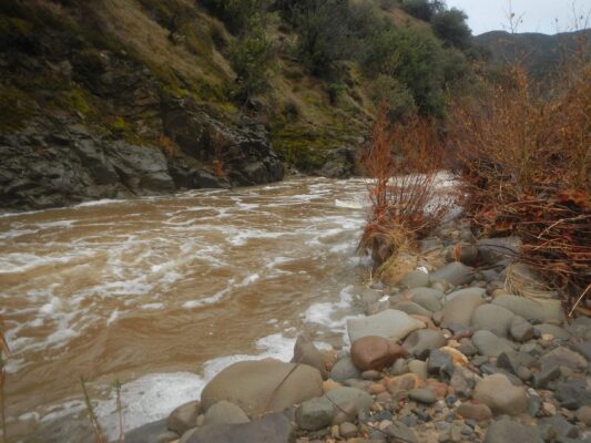 Sisquoc River still muddy and high 13 hrs after flood surge.