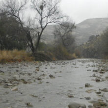 Rainy Sisquoc River crossing before flood surge.