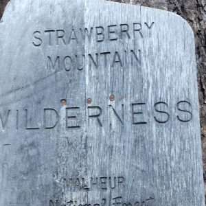Strawberry Mountain Wilderness, Forest Service sign, July