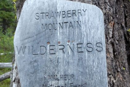 Strawberry Mountain Wilderness, Forest Service sign, July