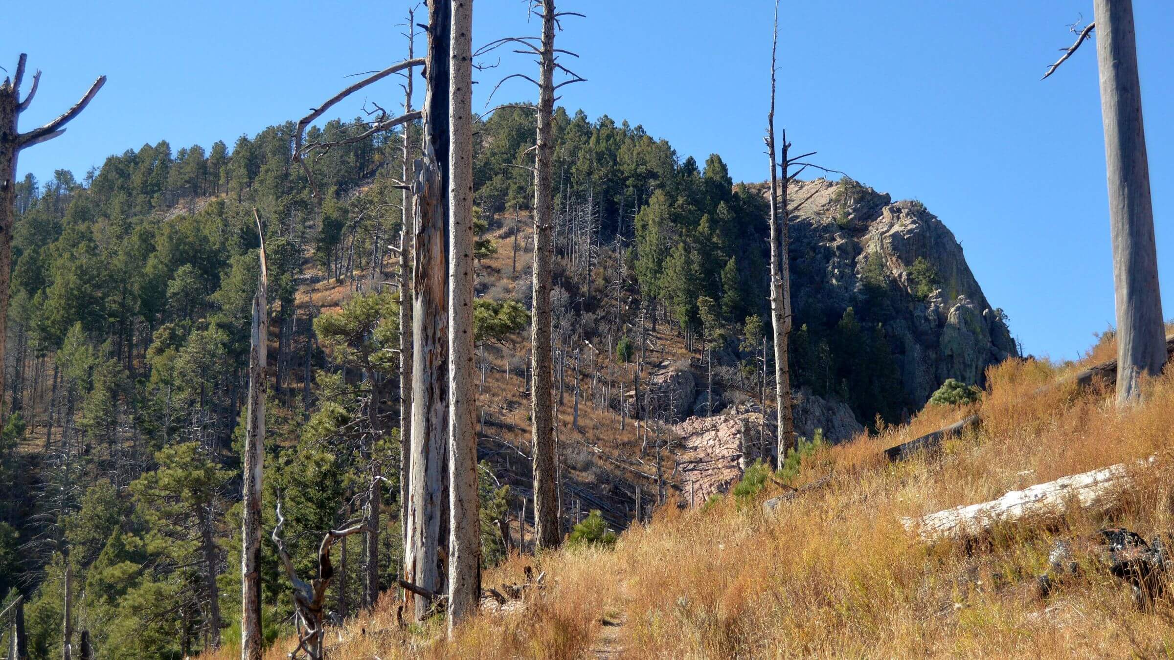 Mount Wrightson Wilderness, Crest Trail, November