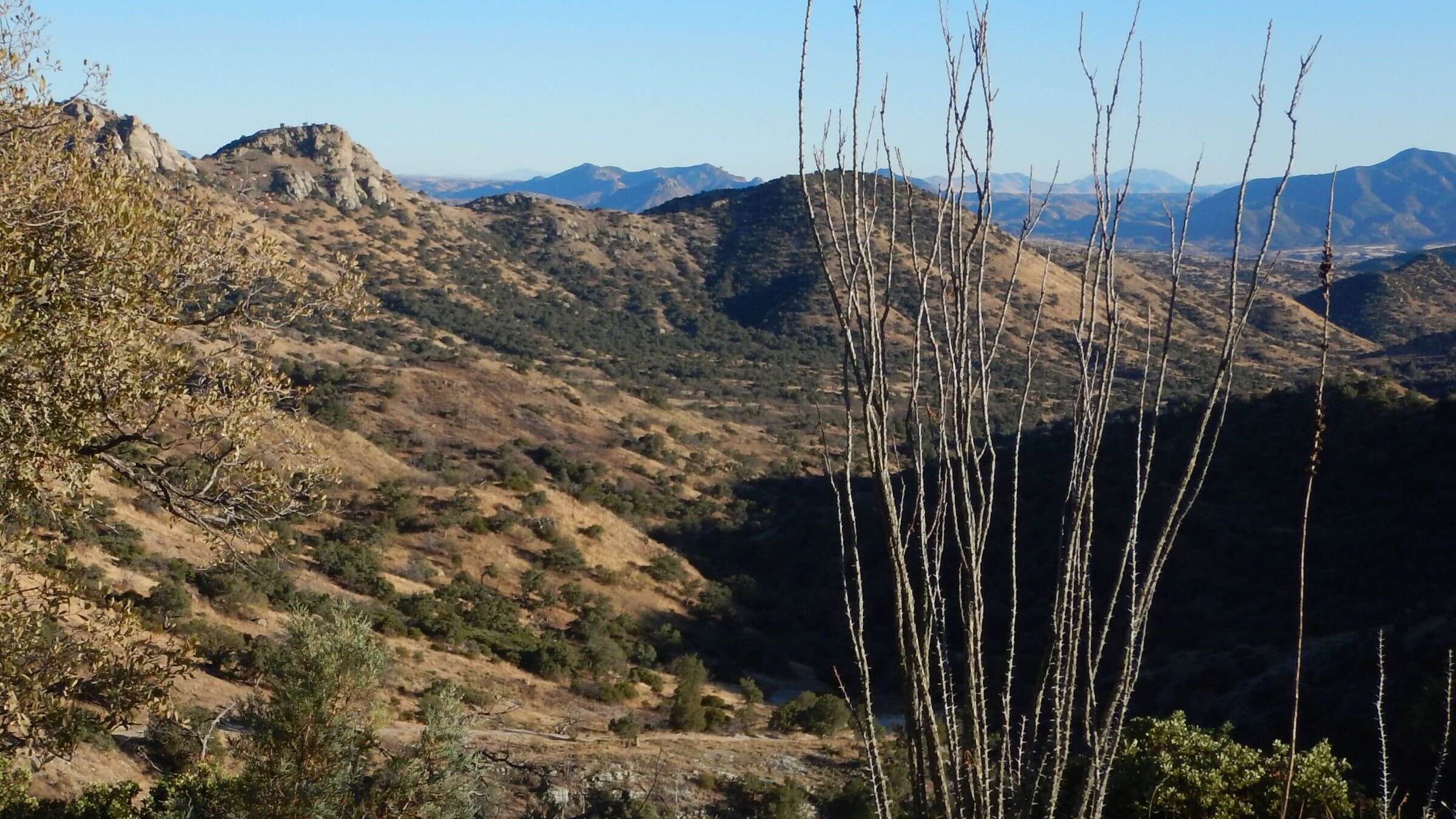 Mount Wrightson Wilderness, Ocotillo, Arizona Trail, January