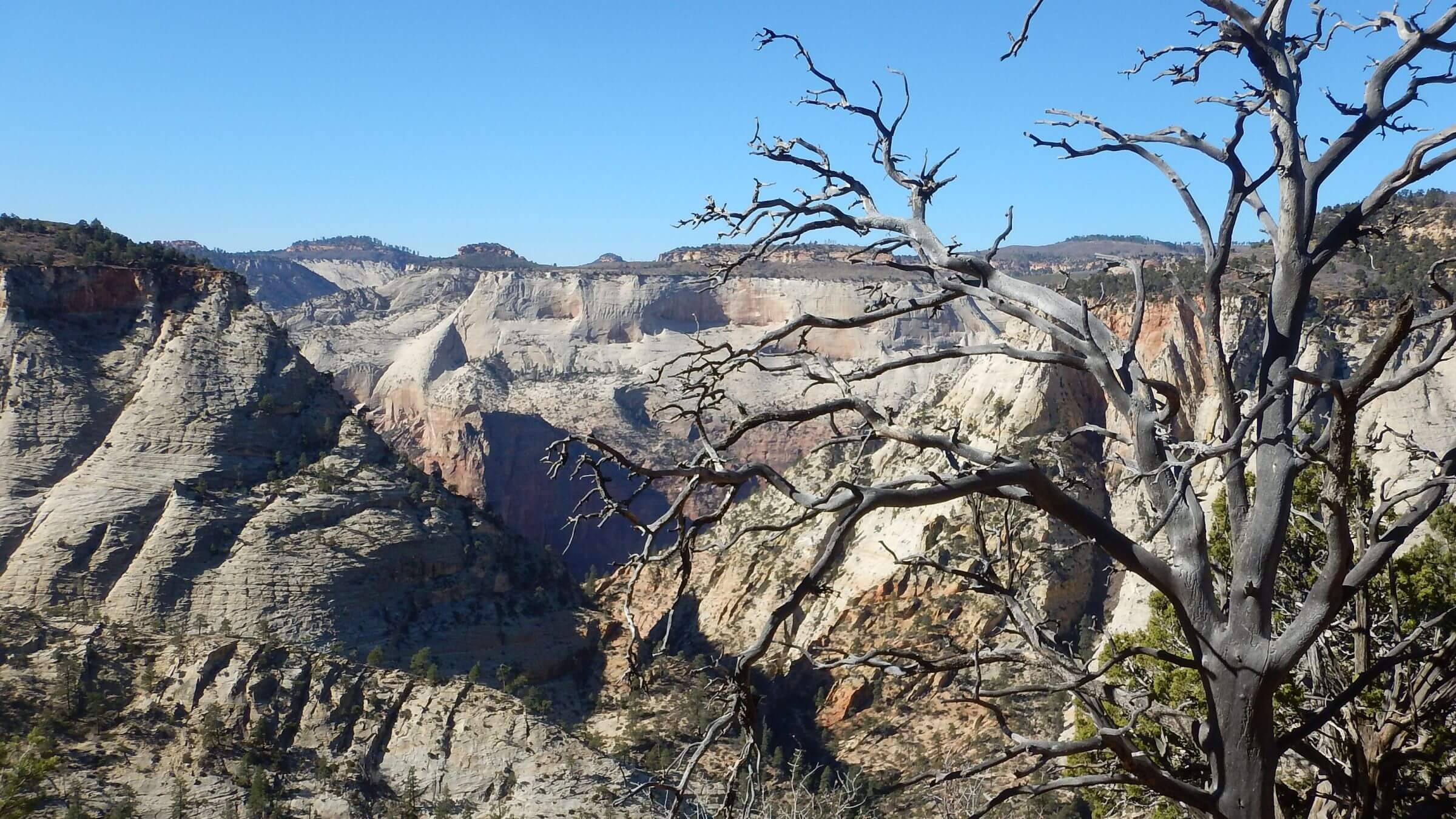 Zion Wilderness, Echo Canyon, East Rim Trail, November