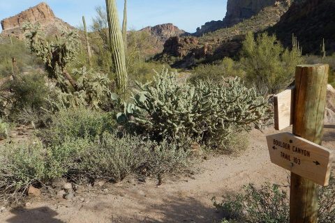 Superstition Wilderness, backpacking, new signs, December